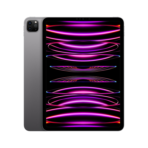 iPad Pro 11" (2022) WiFi 256GB - Space Gray